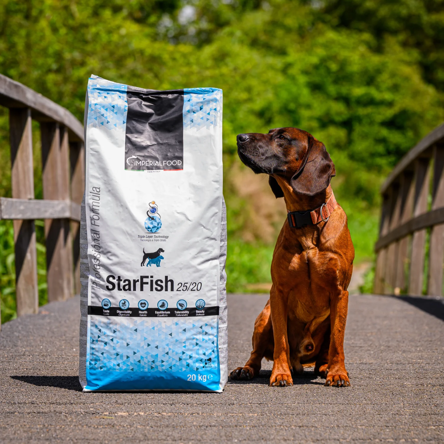 StarFish (25/20) - Licht verteerbare voeding voor gevoelige honden - Afbeelding 3