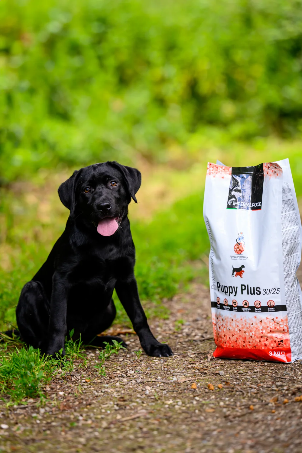 Supplement pup groeipijn: is het echt nodig?